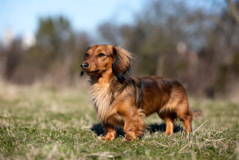 ad533ad3-a8a9-4e93-821f-1e15948b9461