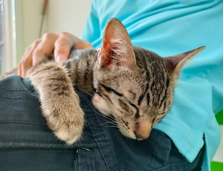 WEf9wmL80BZq2u8U8_aWfIn2NAiFmZx55zSINAEOEJodyNyobSL7EuyVR7XZ2Euik1wcgC_Qq4sYjDIxc_0jrw2Vu1ZiRgvKBxK_V0I-aVM