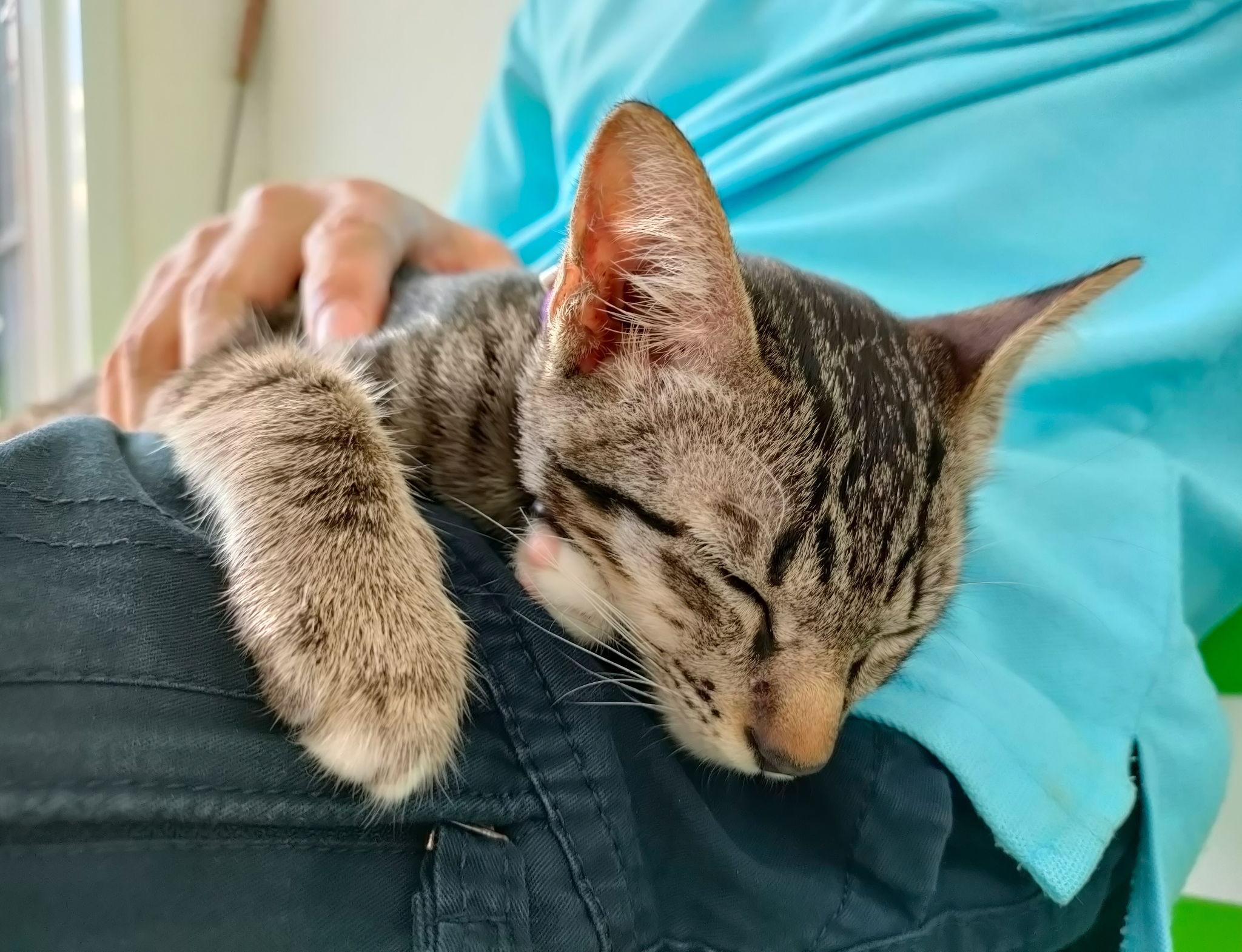 WEf9wmL80BZq2u8U8_aWfIn2NAiFmZx55zSINAEOEJodyNyobSL7EuyVR7XZ2Euik1wcgC_Qq4sYjDIxc_0jrw2Vu1ZiRgvKBxK_V0I-aVM